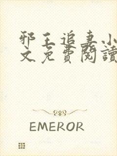 邪王追妻小说全文免费阅读无弹窗