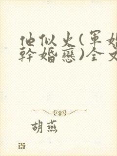 他似火(军婚高干婚恋)全文免费