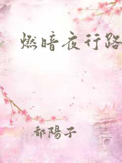 燃暗夜行路