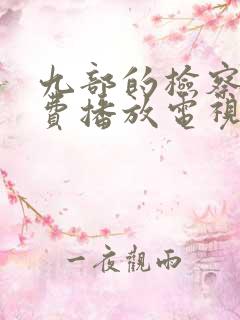 九部的检察官免费播放电视剧全集