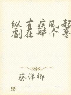 纵有疾风起电视剧在哪个台播放