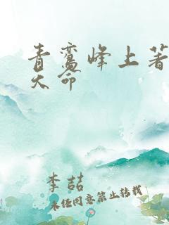 青鸾峰上著无敌天命