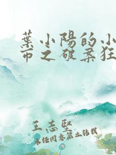 叶小阳的小说都市之破案狂少