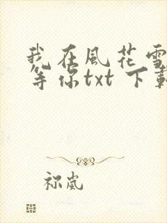 我在风花雪月里等你txt 下载