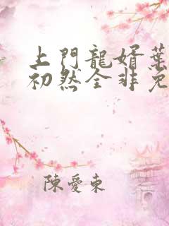 上门龙婿叶辰萧初然全非免费观看