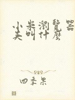 小米浏览器文件夹叫什么