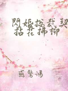 闪婚总裁契约妻 拈花拂柳