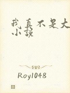 我真不是大佬 小说