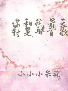 你和我最天生一对是哪首歌的歌词