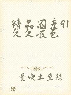 精品国产91久久久夜色