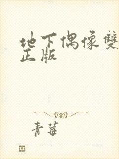 地下偶像双男主正版