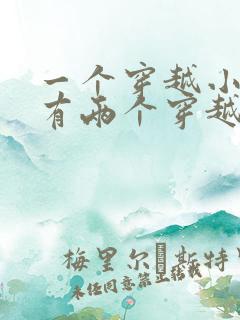 一个穿越小说中有两个穿越者