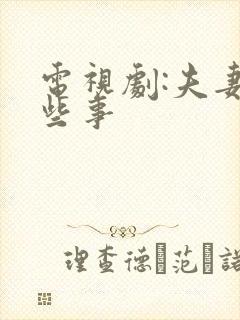 电视剧:夫妻那些事