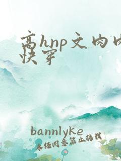 高hnp文肉肉快穿