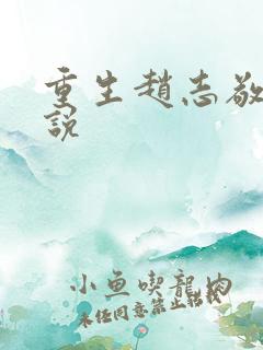 重生赵志敬 小说