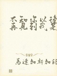 不知你以后能否再见到我是哪首歌的歌词