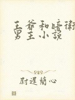 王爷和暗卫的双男主小说