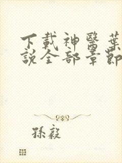 下载神医叶凡小说全部章节