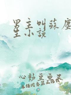 男主叫苏尘的重生小说