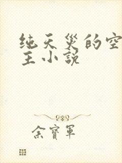 纯天灾的空间女主小说