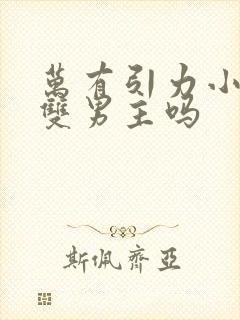 万有引力小说是双男主吗