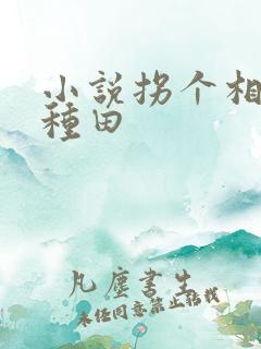 小说拐个相公来种田