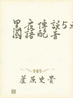 黑夜传说5血战国语配音