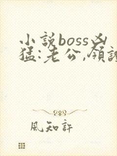 小说boss凶猛:老公,领证吧txt