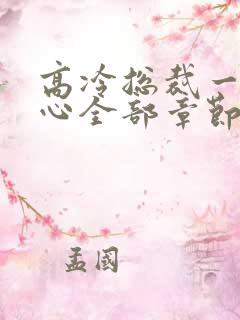 高冷总裁一见倾心全部章节免费看