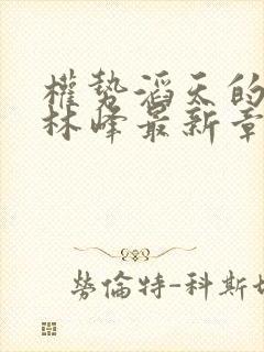 权势滔天的小说林峰最新章节