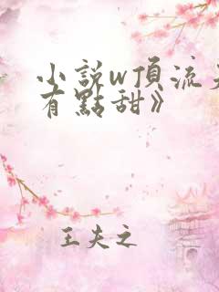 小说w顶流夫妇有点甜》