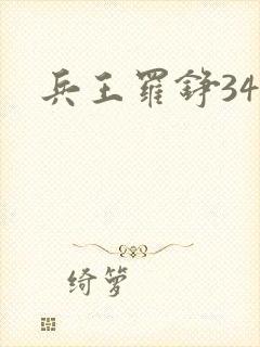 兵王罗铮34