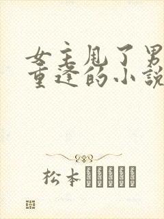 女主甩了男主后重逢的小说