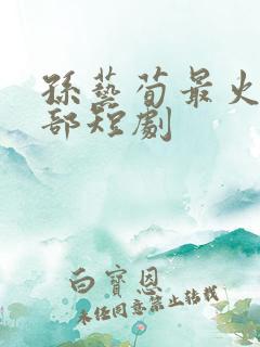 孙艺荀最火的十部短剧