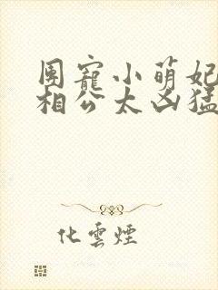 团宠小萌妃王爷相公太凶猛