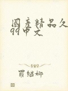 国产精品久久久99中文