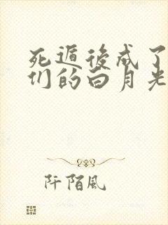 死遁后成了大佬们的白月光在线看