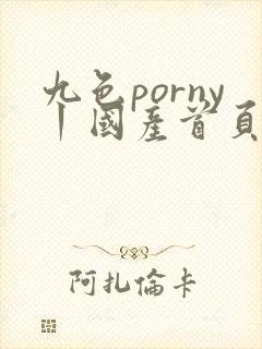 九色porny丨国产首页在线