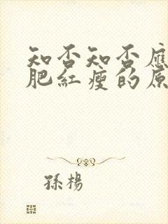 知否知否应是绿肥红瘦的原著叫什么