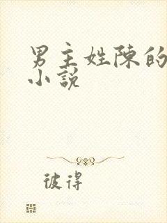 男主姓陈的现代小说