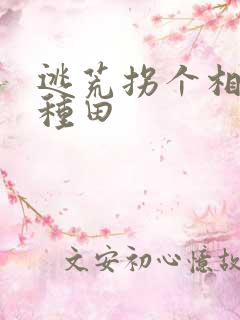 逃荒拐个相公来种田