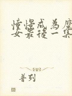 憧憬成为魔法少女最后一集