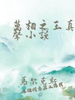 万相之王真人有声小说