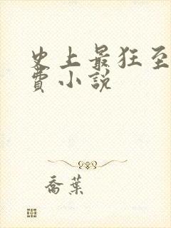 史上最狂至尊免费小说