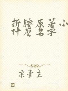 折腰原著小说叫什么名字