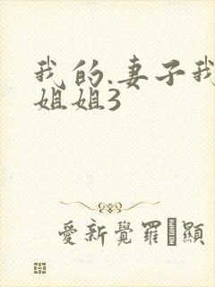 我的.妻子我的姐姐3