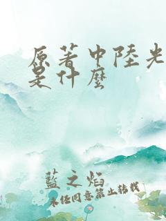 原著中陆光结局是什么