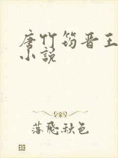 唐竹筠晋王什么小说