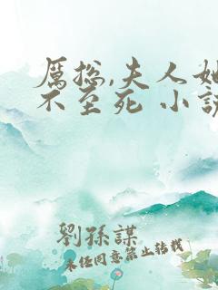 厉总,夫人她罪不至死 小说