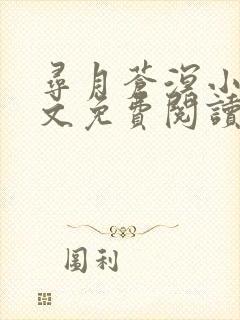 寻月苍溟小说全文免费阅读